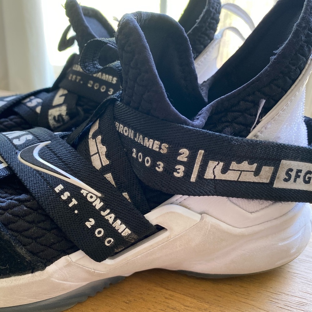Lebron James SFG 23 NIke